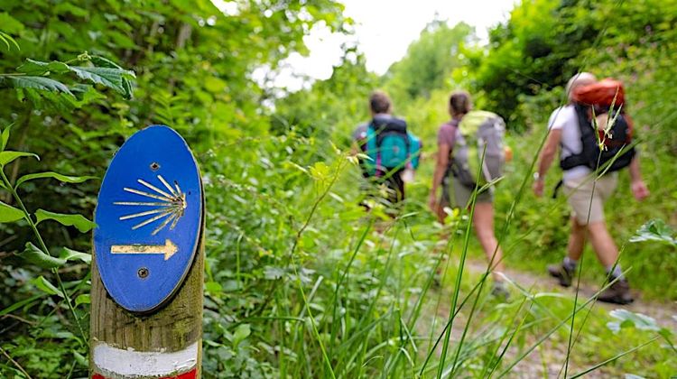 PAU-JACA - Le projet transfrontalier VolverAlCamino redynamise la Voie d'Arles